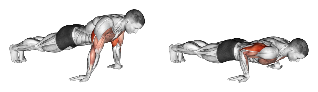 reverse push up muscles