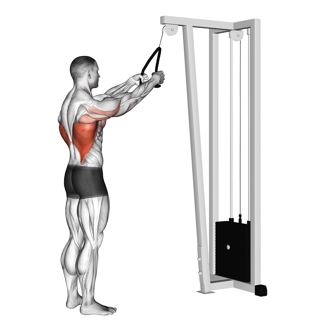 rope straight arm pulldown