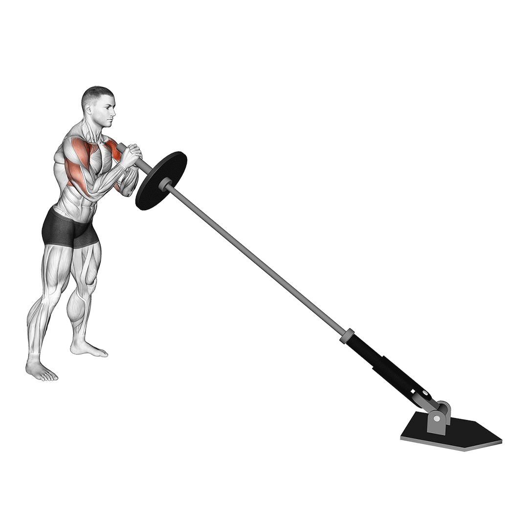 standing landmine press