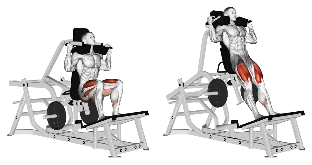 v squat muscles