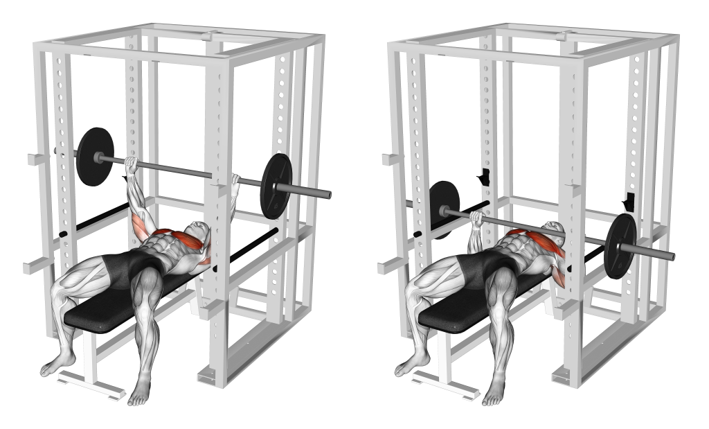 barbell pin press muscles