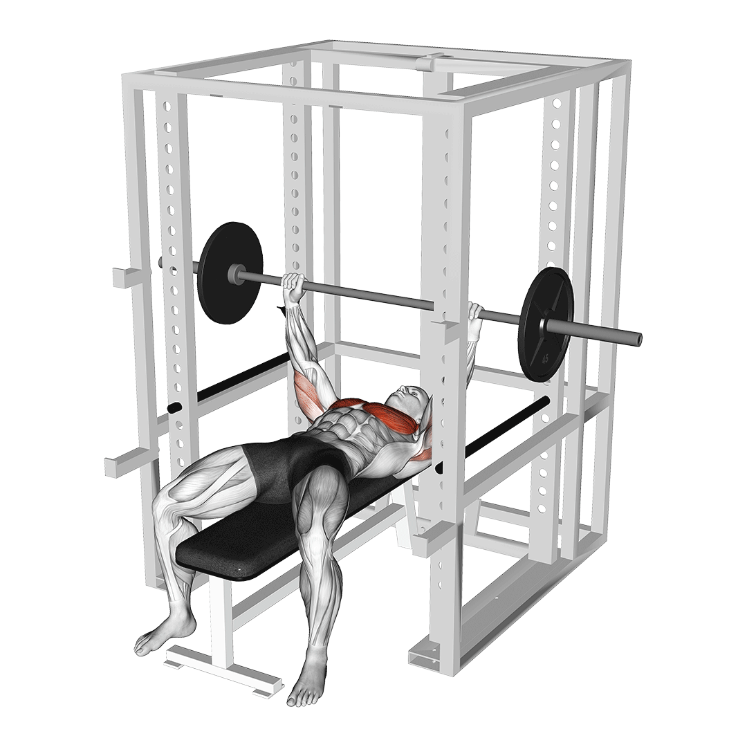 barbell pin press