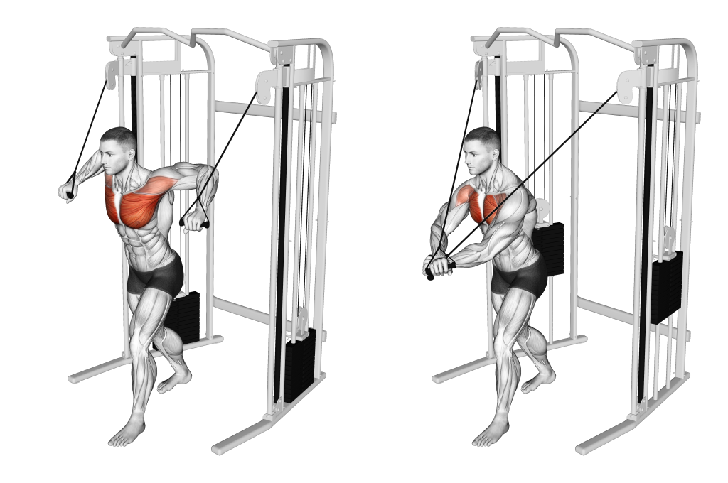 cable standing crossover muscles
