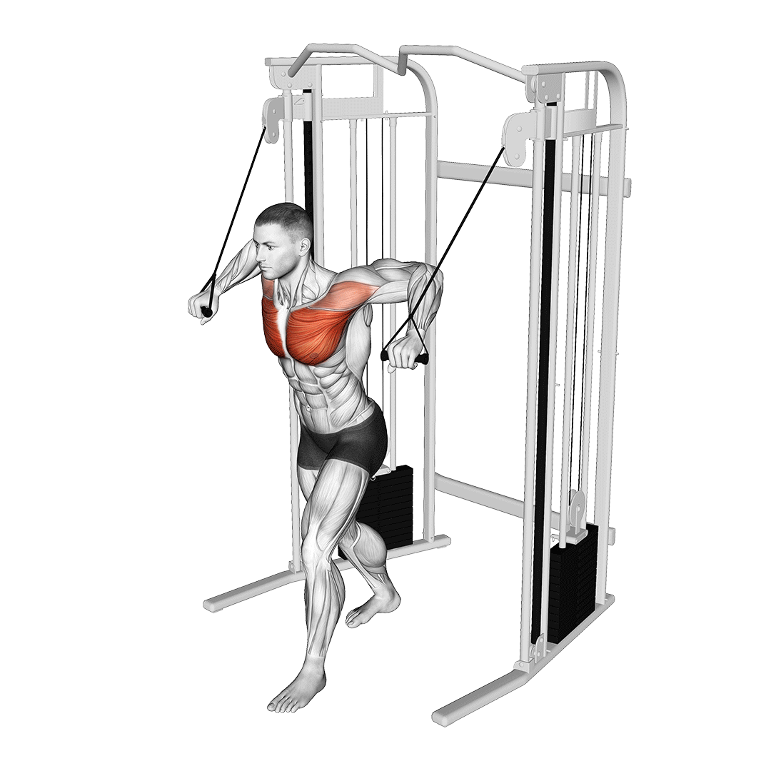 cable standing crossover