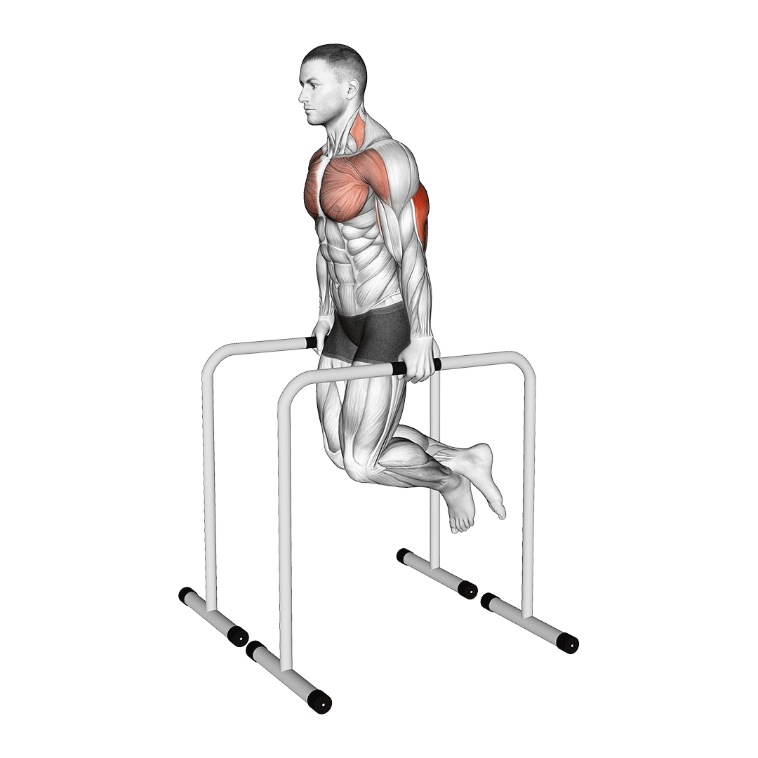 parallel bar tricep dips