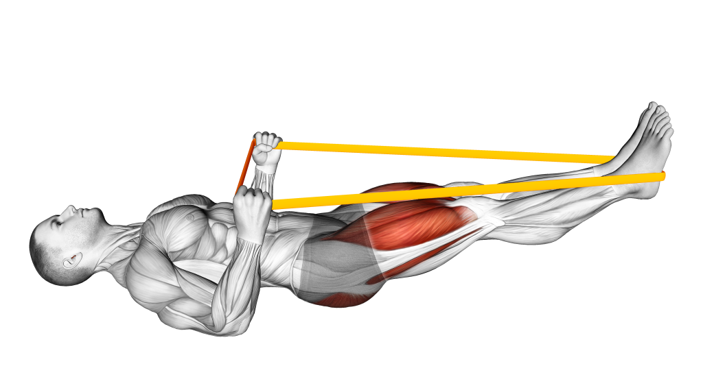 resistance band leg press concentric