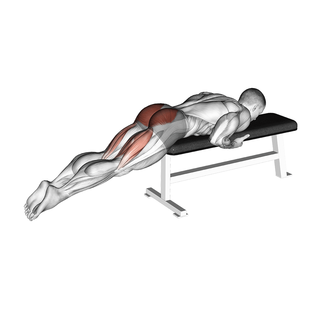 reverse hyperextension on bench