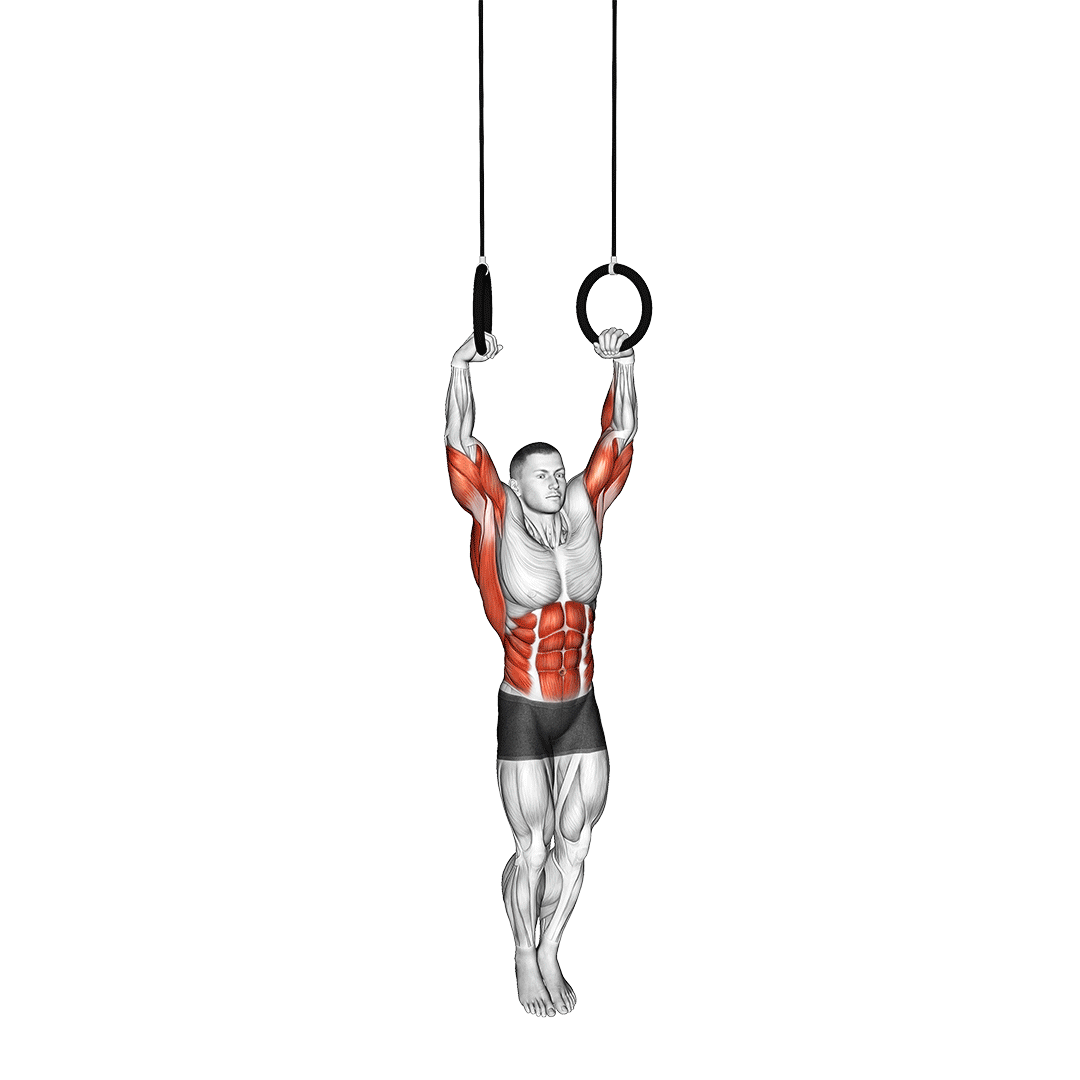 ring muscle up