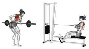 Seated Row vs Bent Over Row: Differences Explained - Inspire US