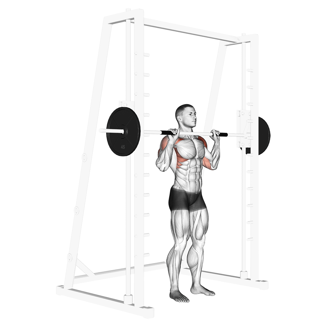 standing smith machine shoulder press 