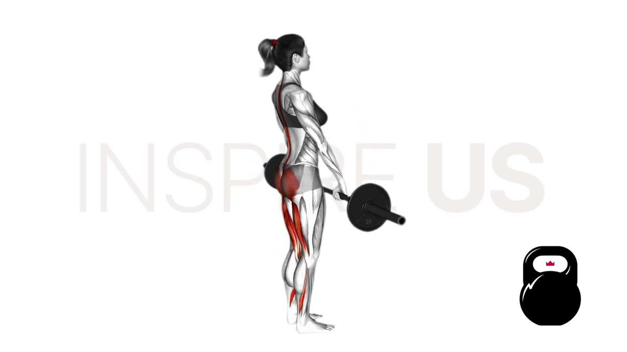 Barbell Stiff Leg Deadlift