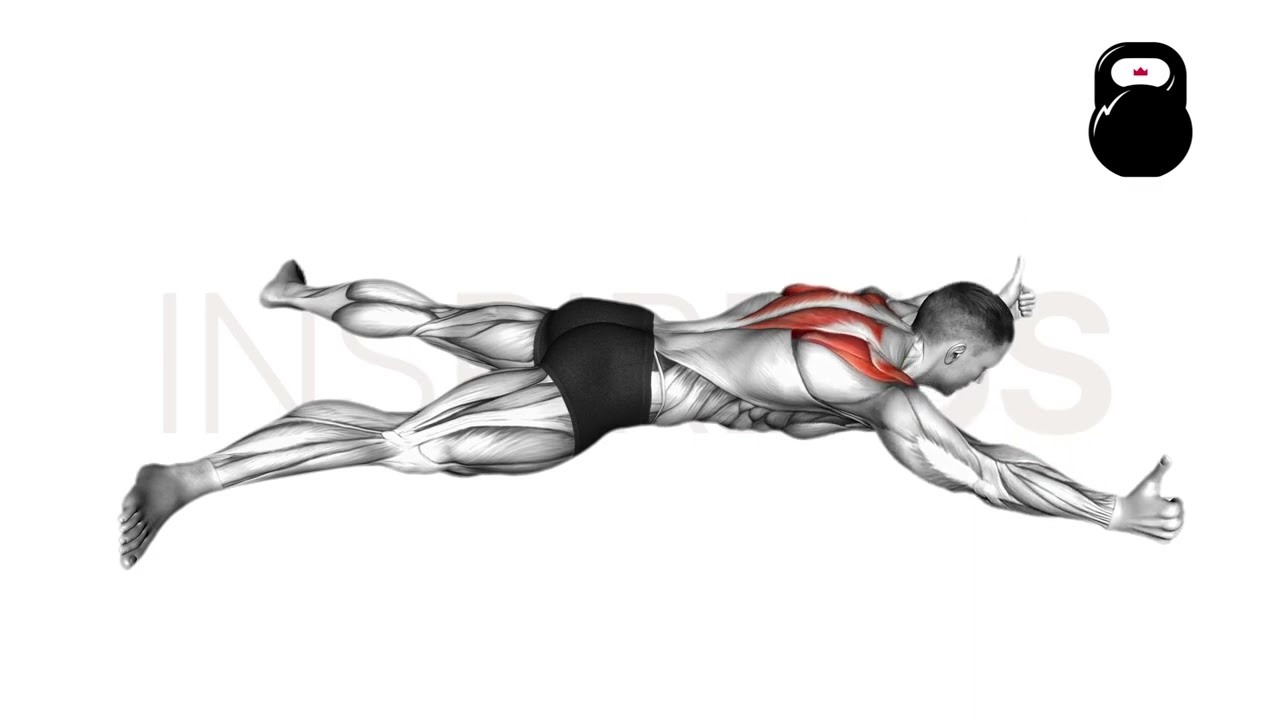 Prone Y Raises