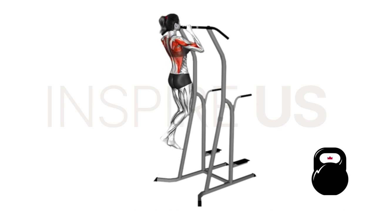 Neutral Grip Pull Up