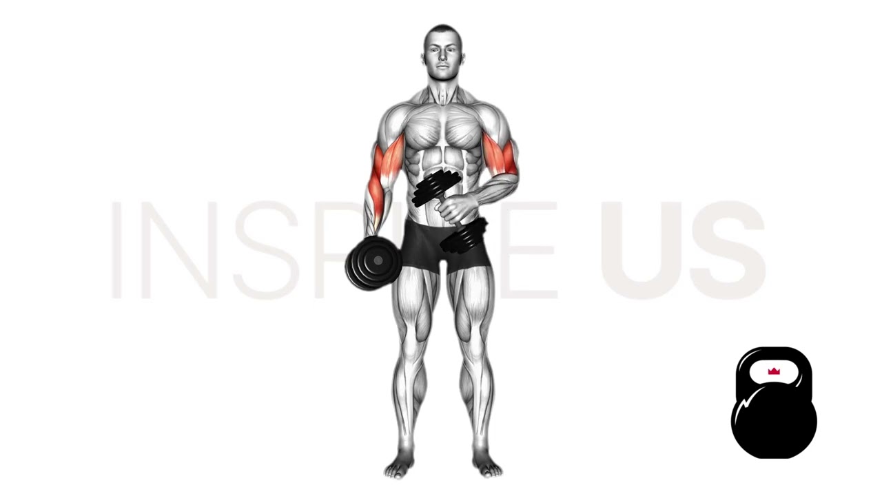 Crossbody Hammer Curls