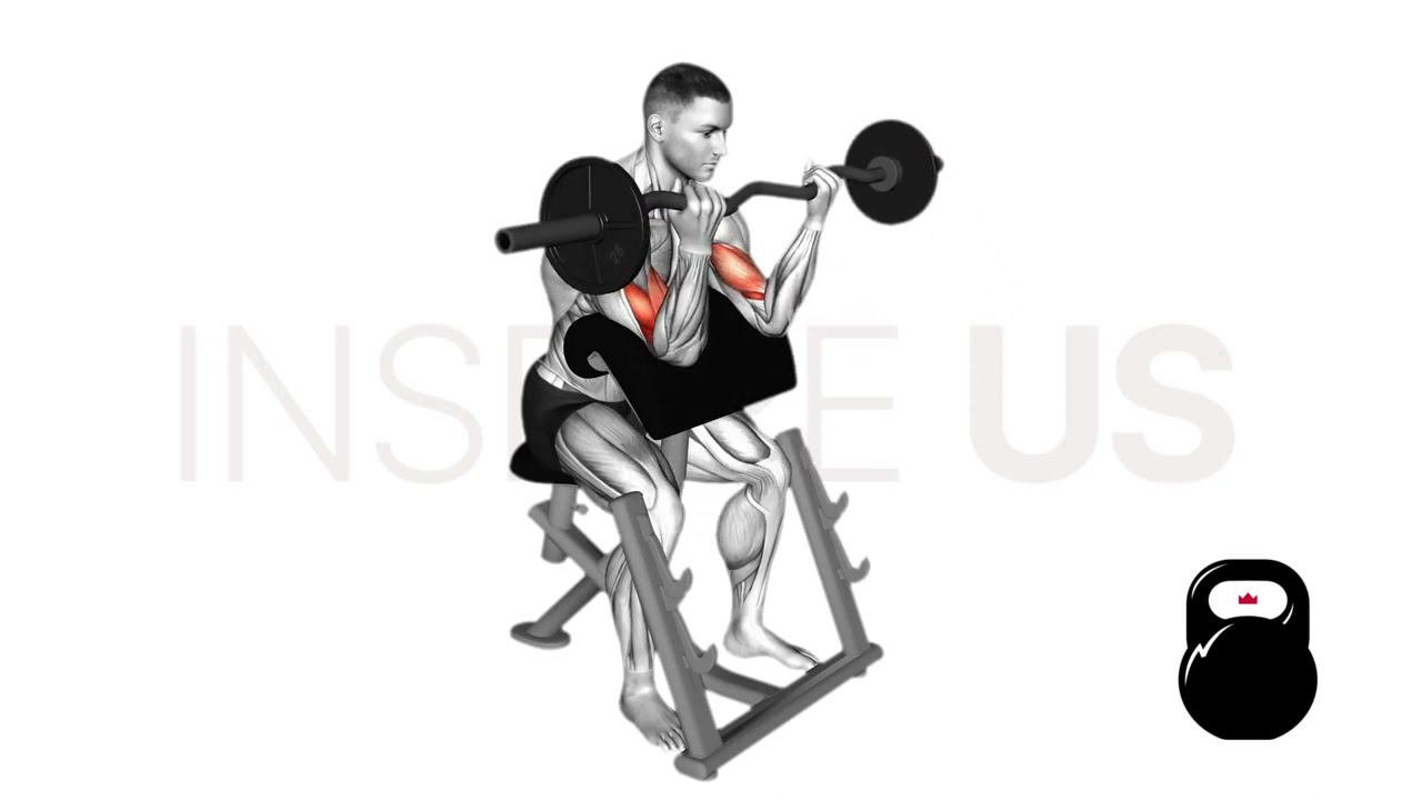 EZ Bar Preacher Curl