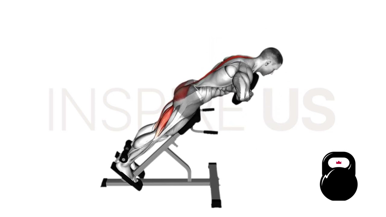 Back Extension