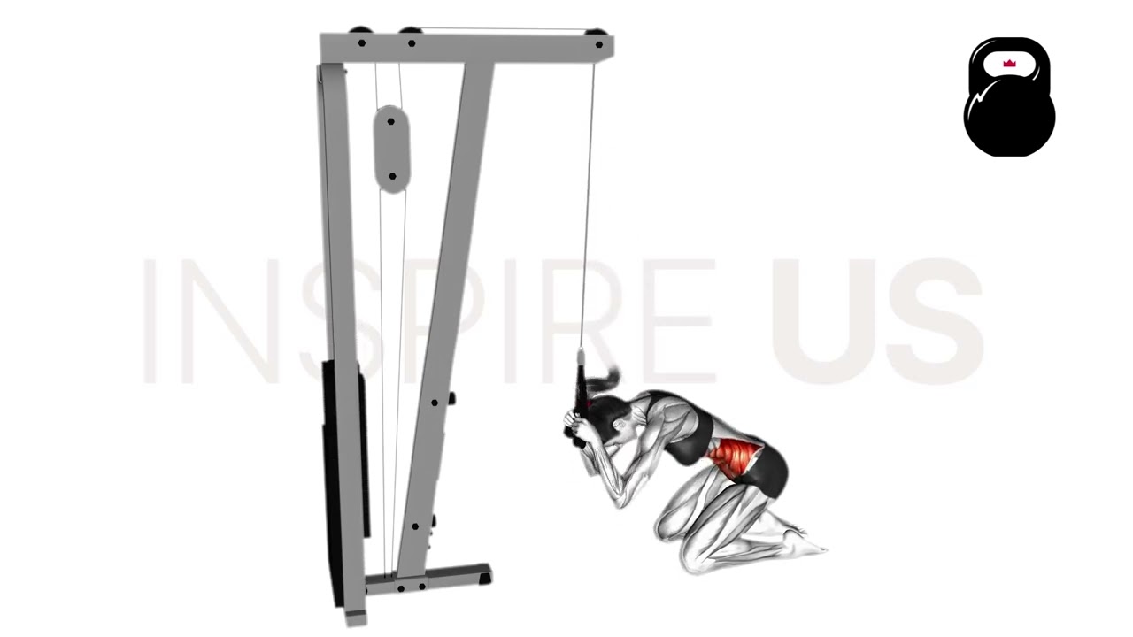 Cable Kneeling Crunch