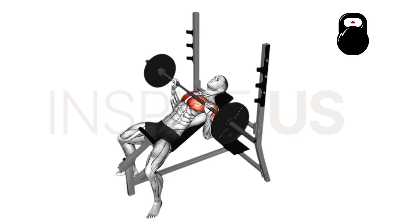 Barbell Incline Bench Press