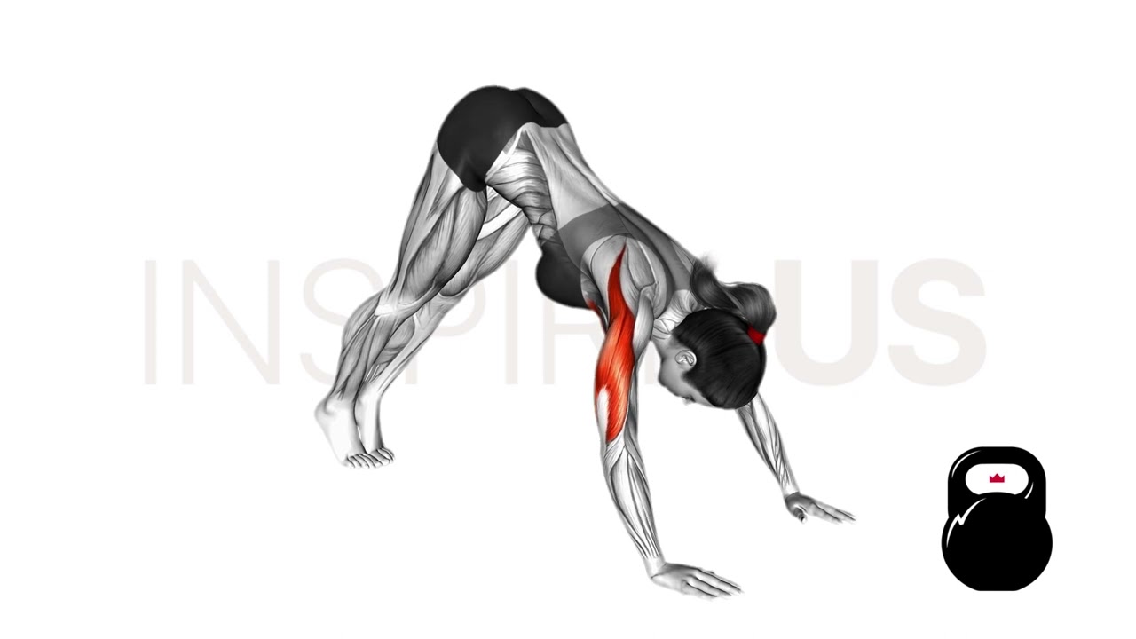 Pike Push Up