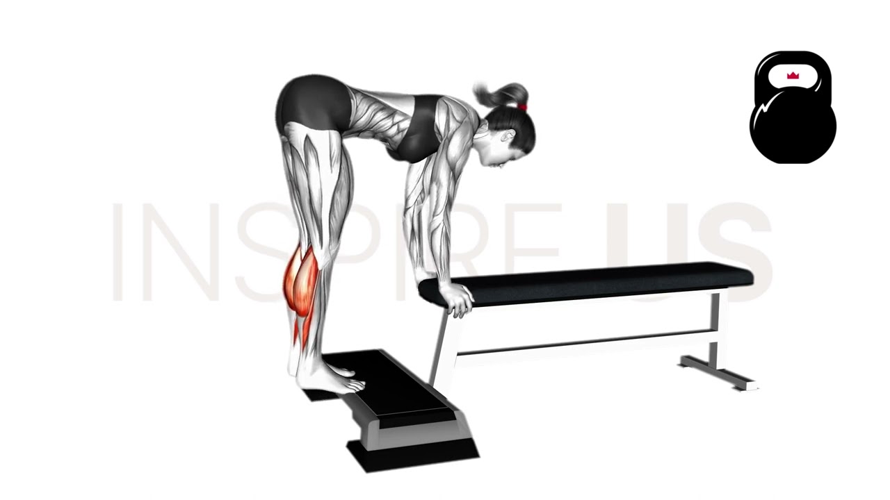 Donkey Calf Raise
