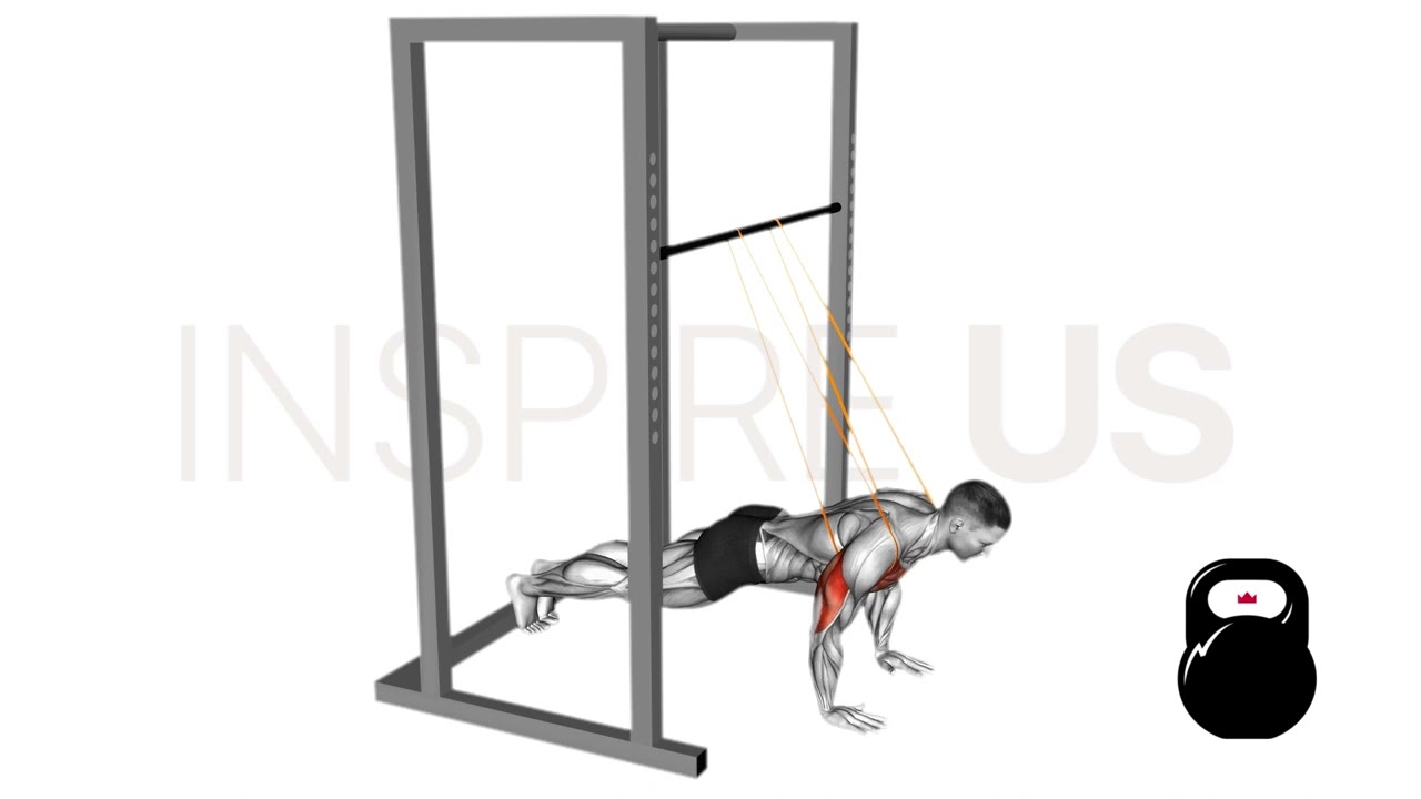 Assisted Push Up