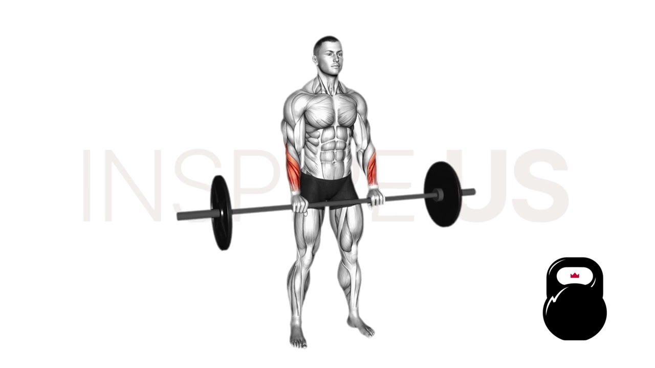 Barbell Reverse Wrist Curl