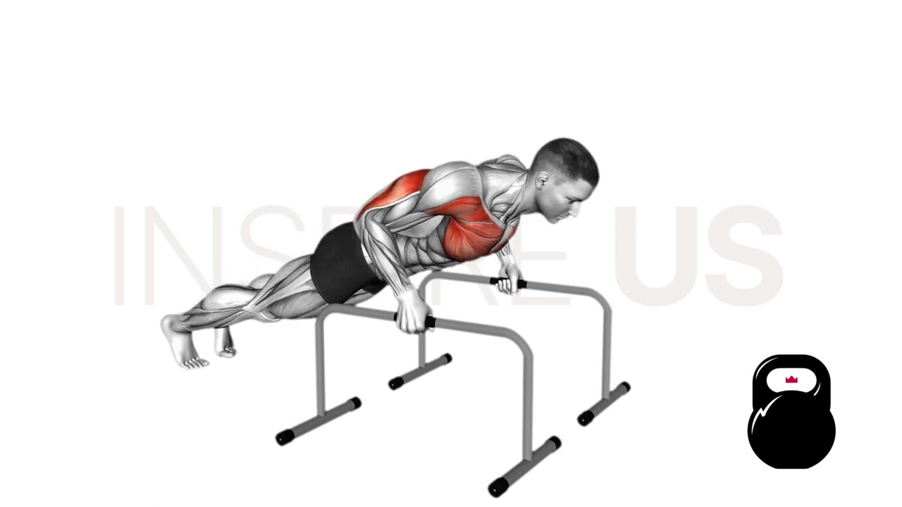 Push Up Bars
