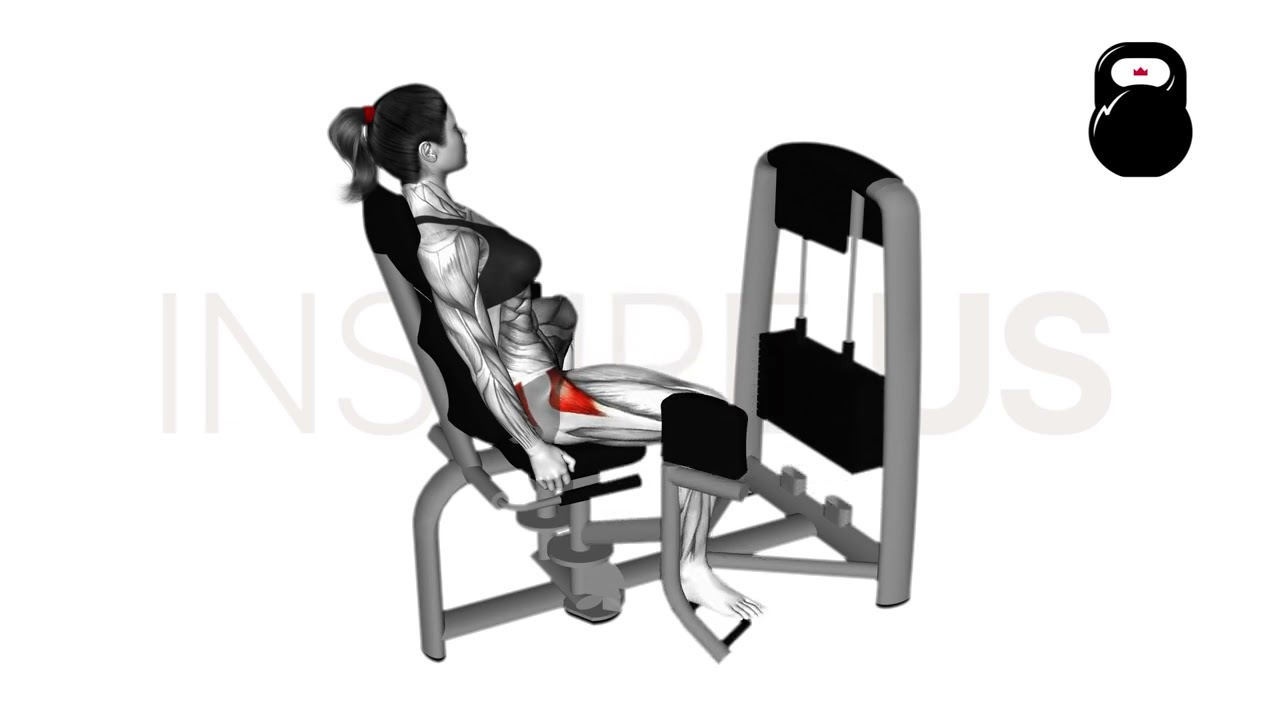 Machine Seated Hip Abduction