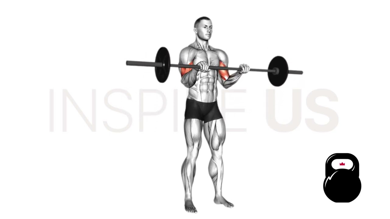 Barbell Reverse Curl