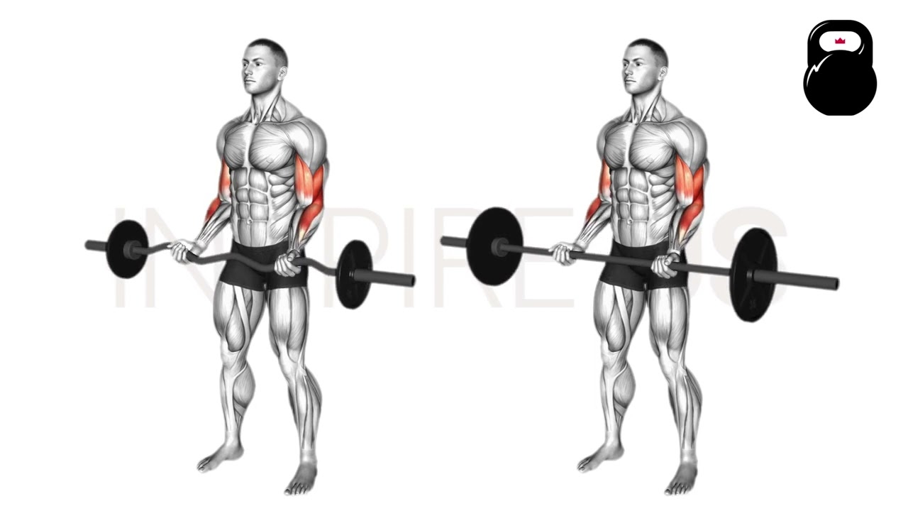 Curl Bar vs Straight Bar