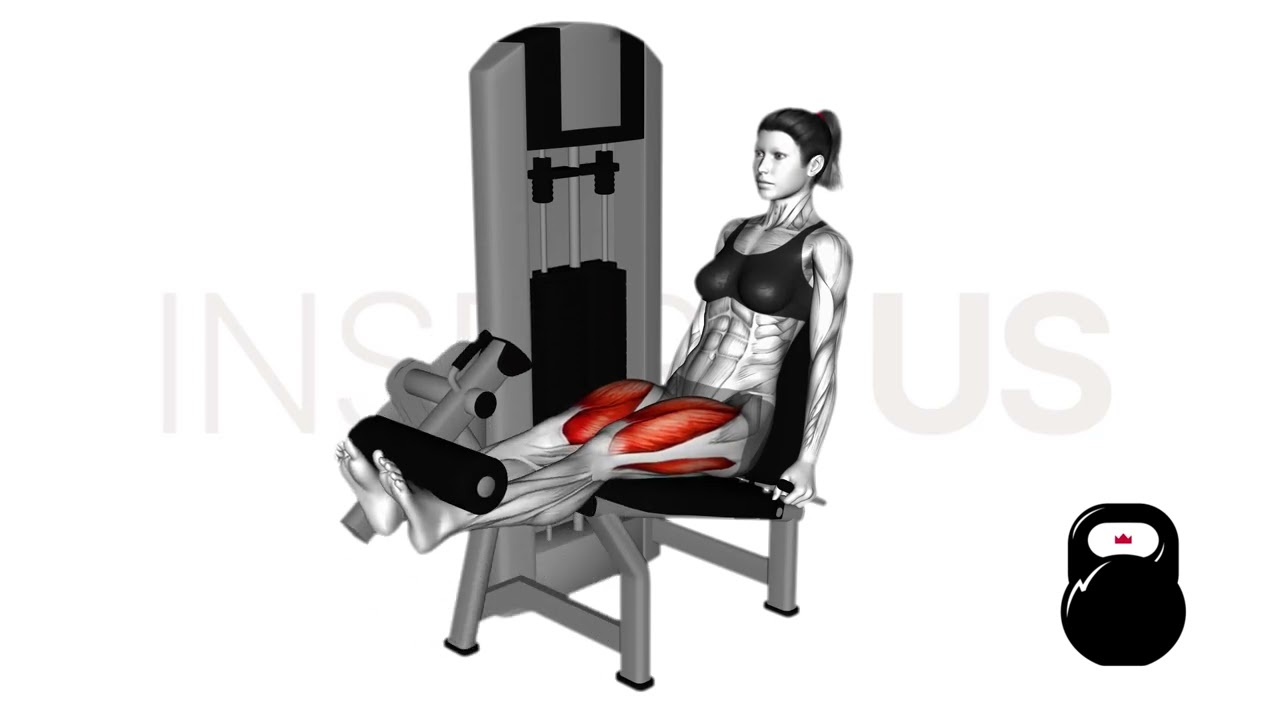 Leg Extension