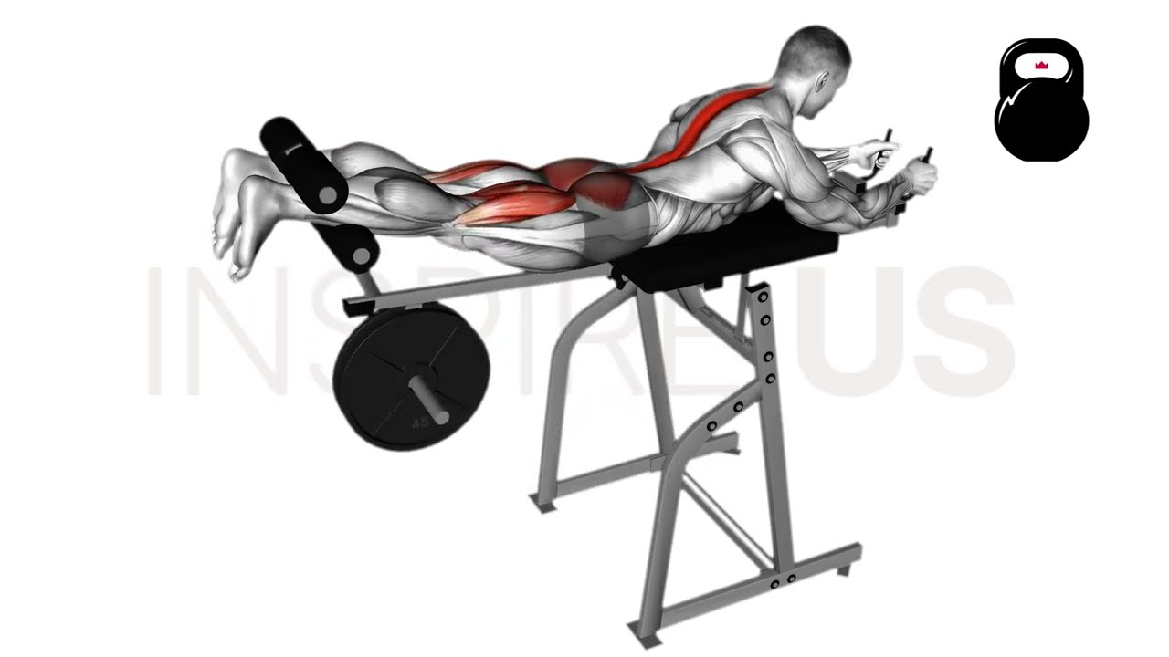 Reverse Hyperextension