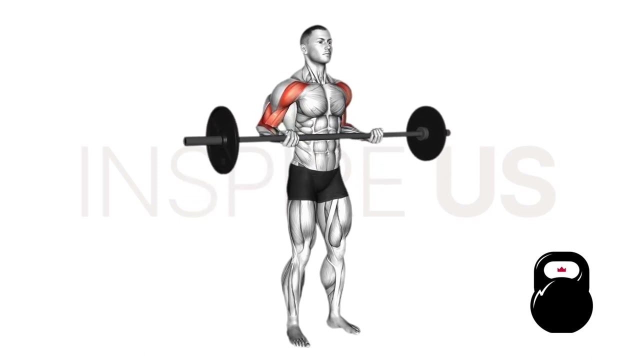 Barbell Drag Curl