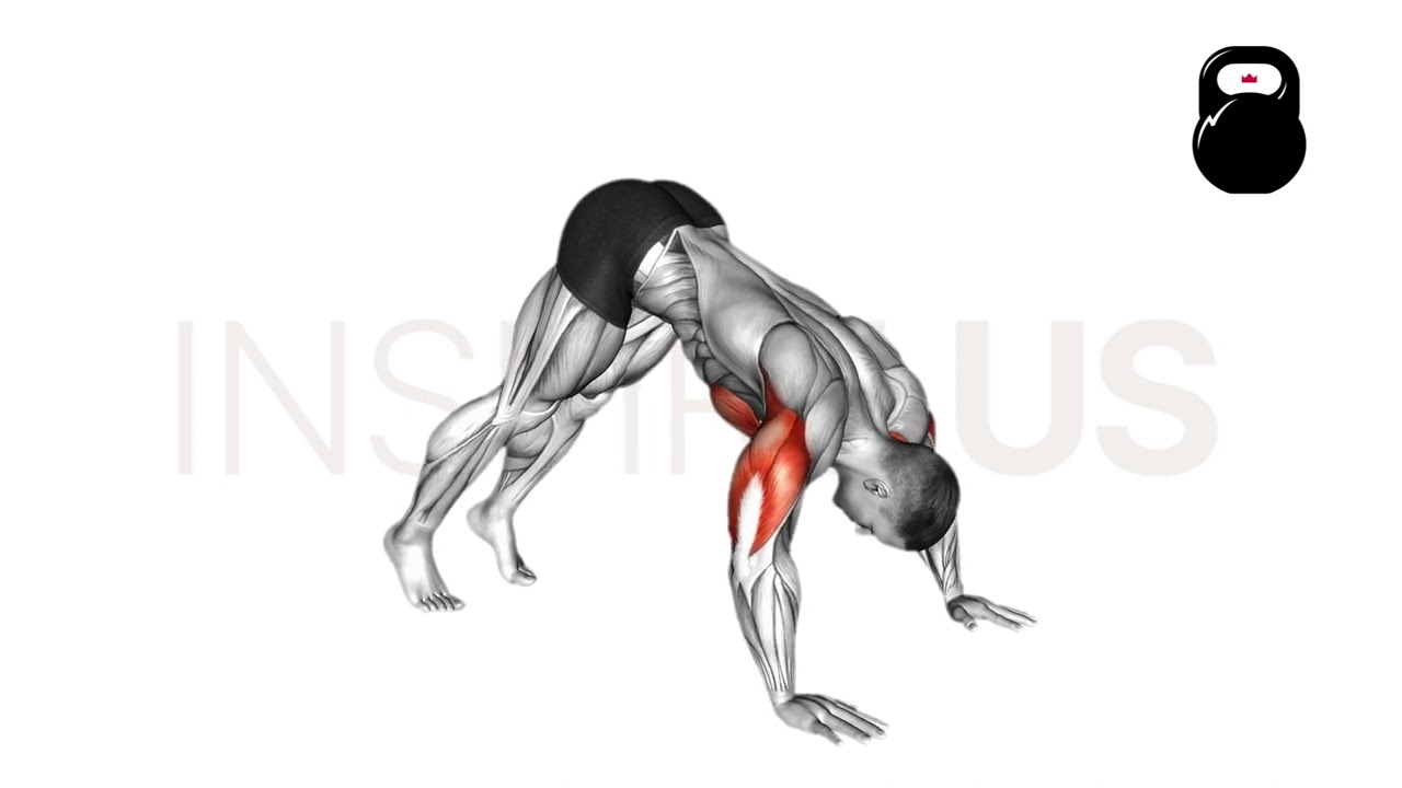 Shoulder Push Up