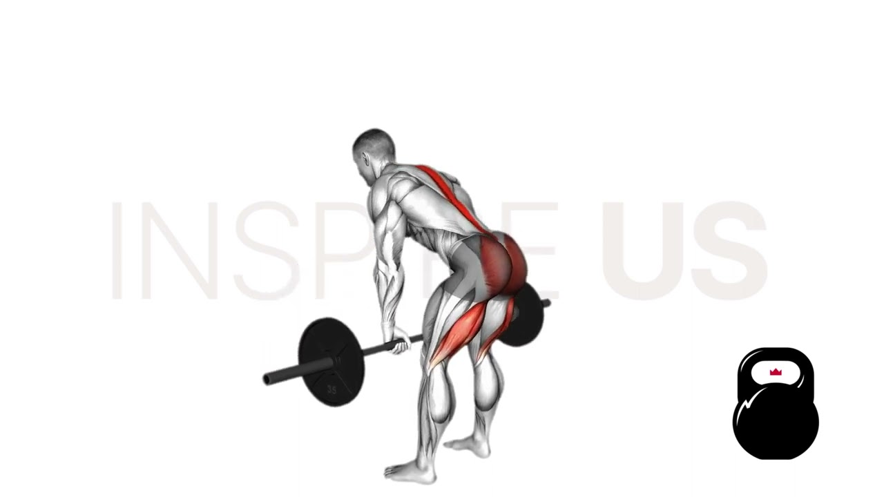 Barbell Romanian Deadlift