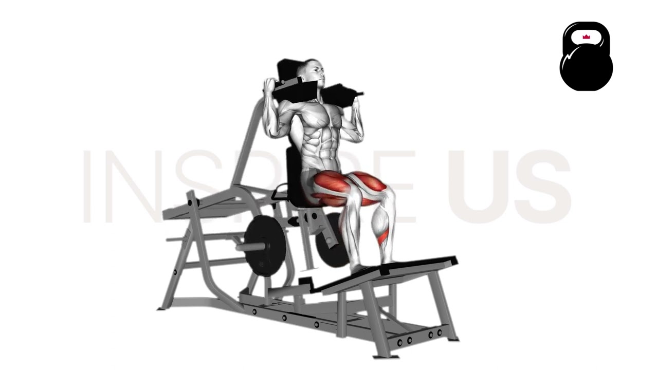 V Squat