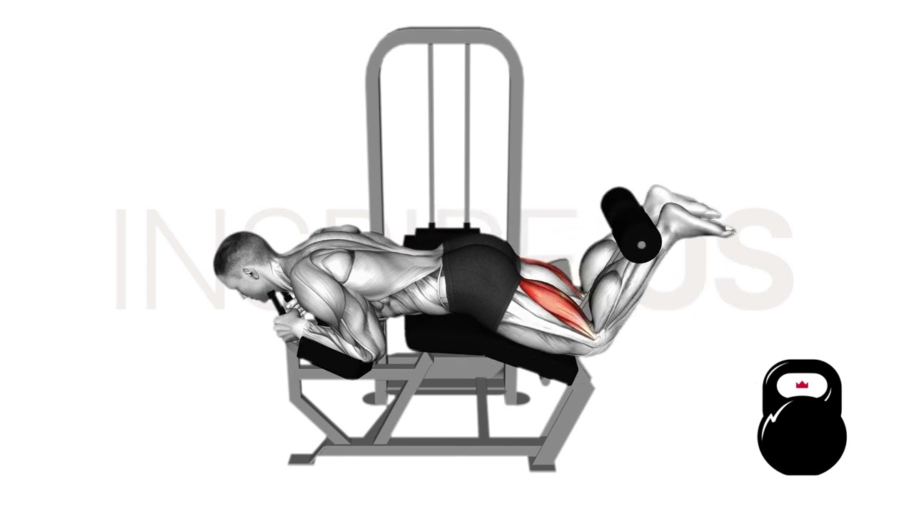Lying Hamstring Curl