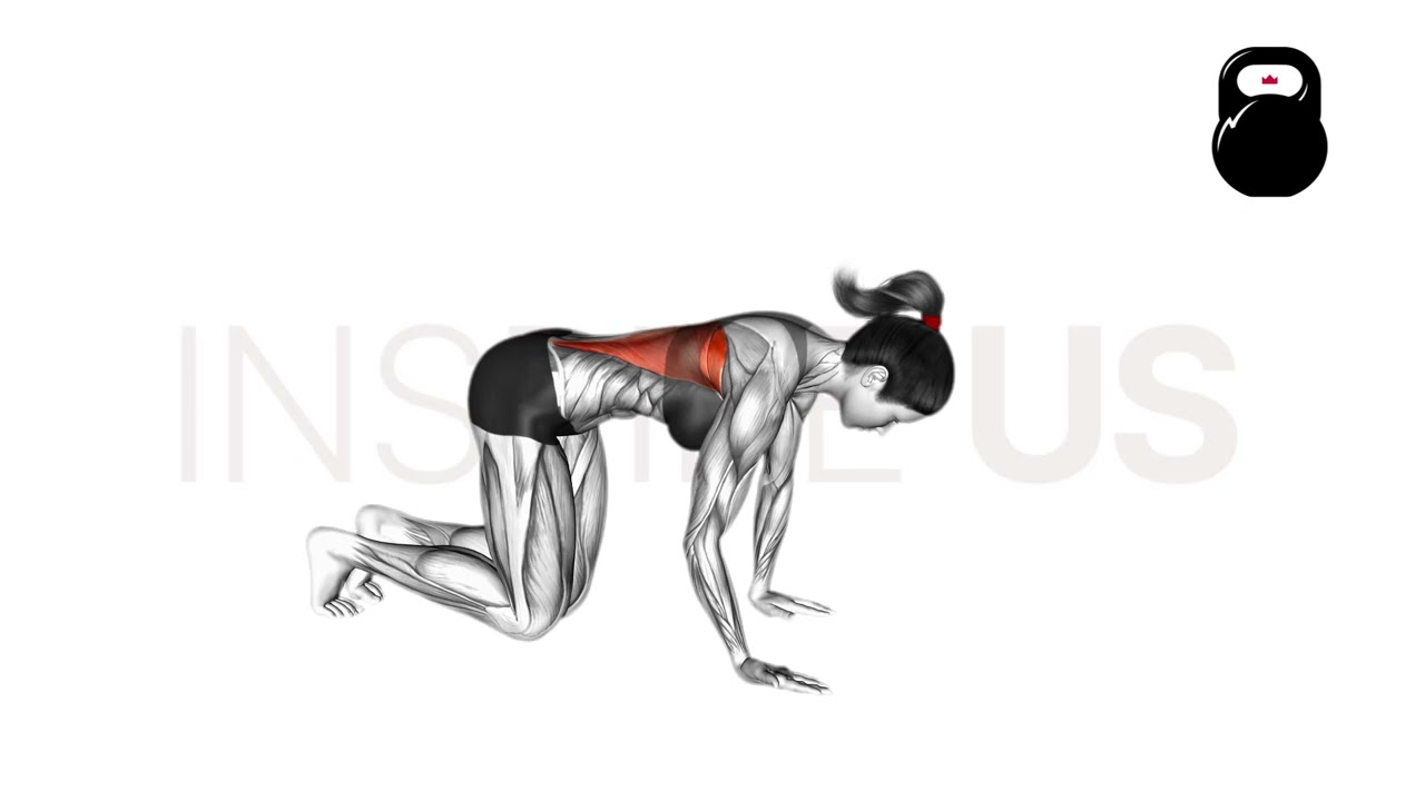 Kneeling Lat Stretch