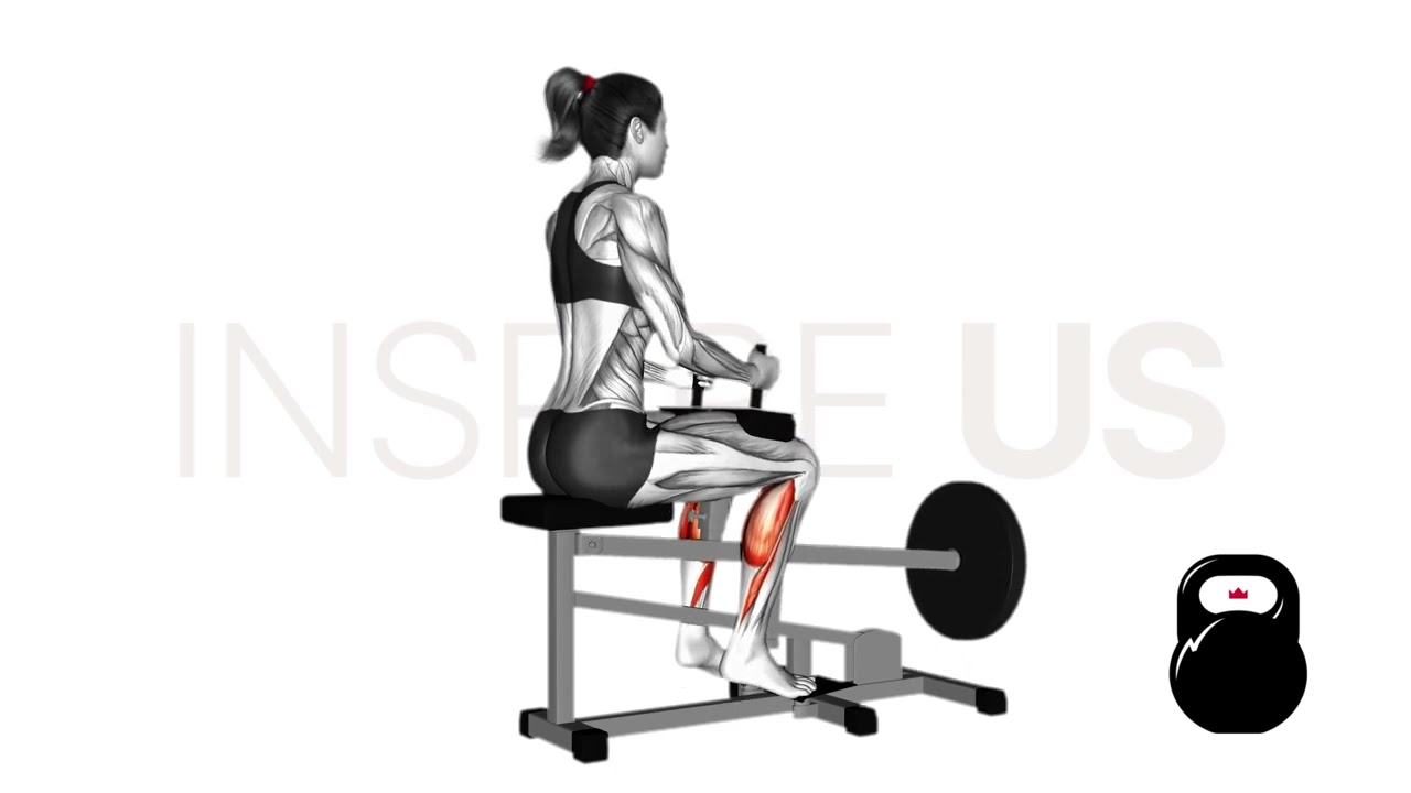 Seated Calf Raise