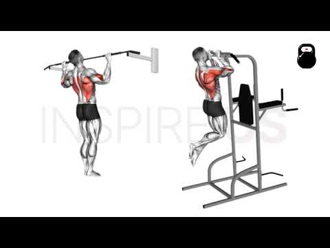 Wide vs Close Grip Pull Up