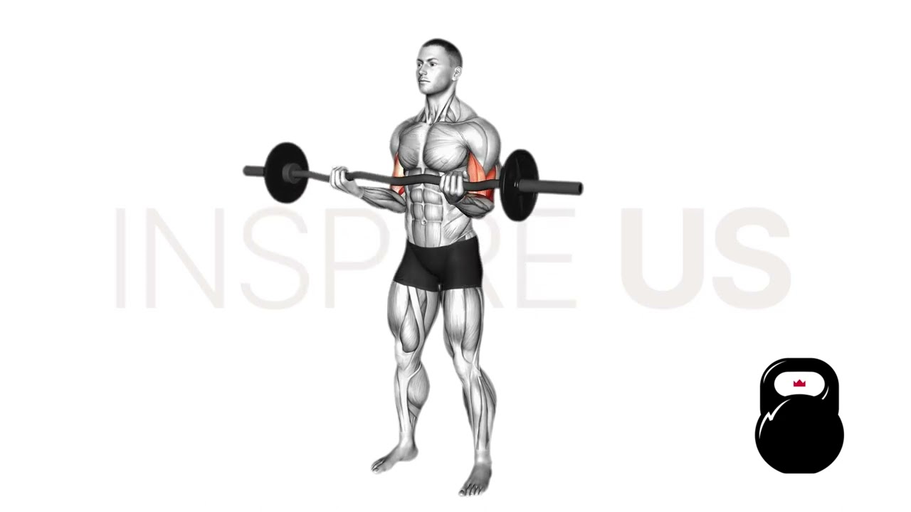 EZ Bar Curl