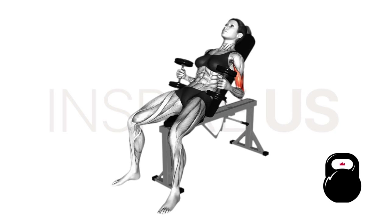 Incline Dumbbell Hammer Curl