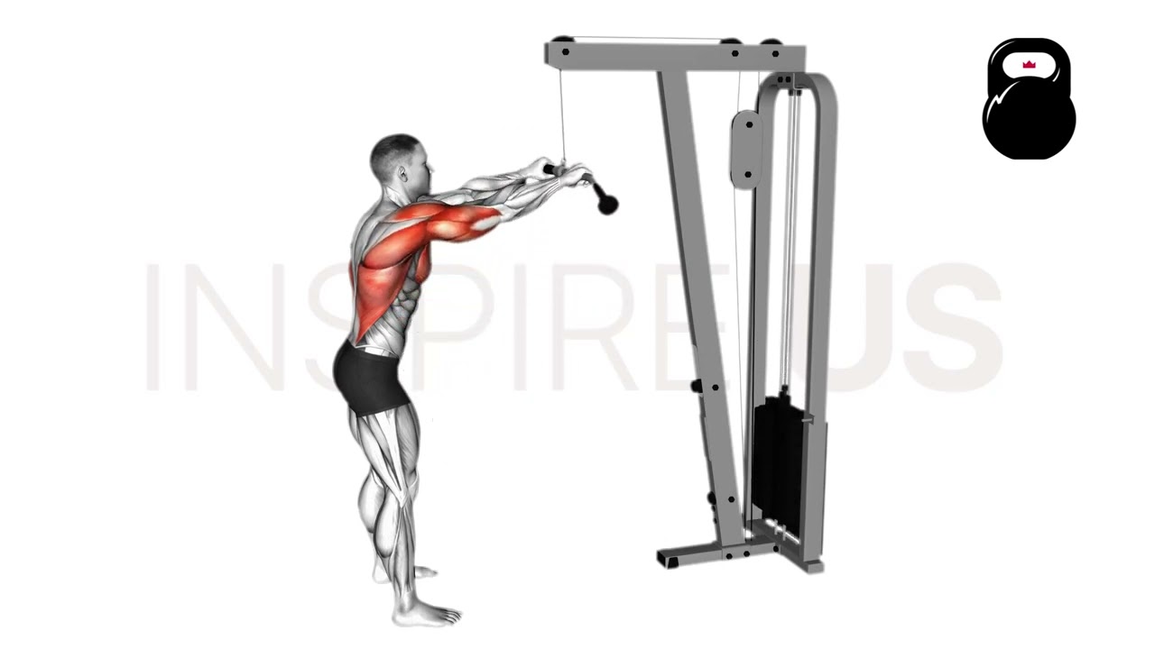 Straight Arm Lat Pulldown