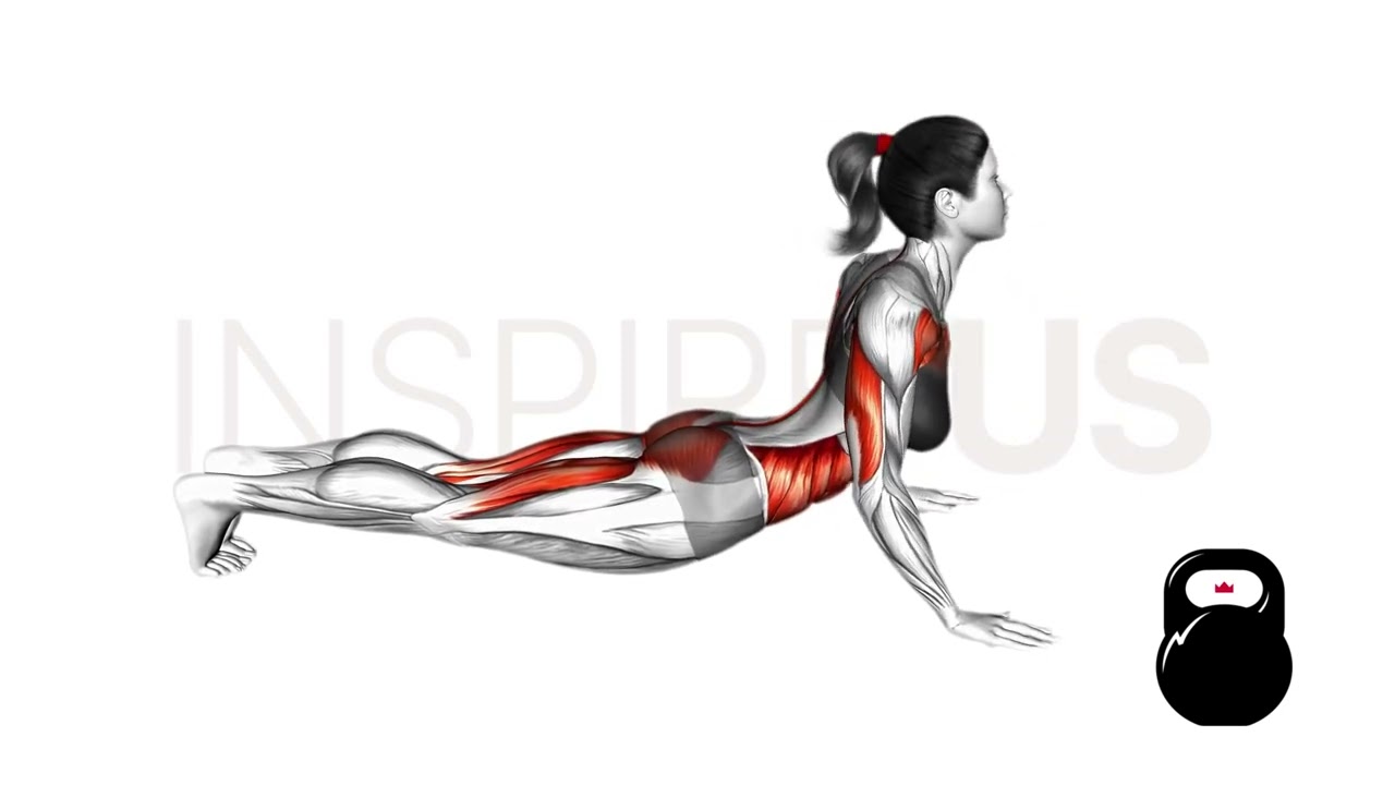 Cobra Push Up