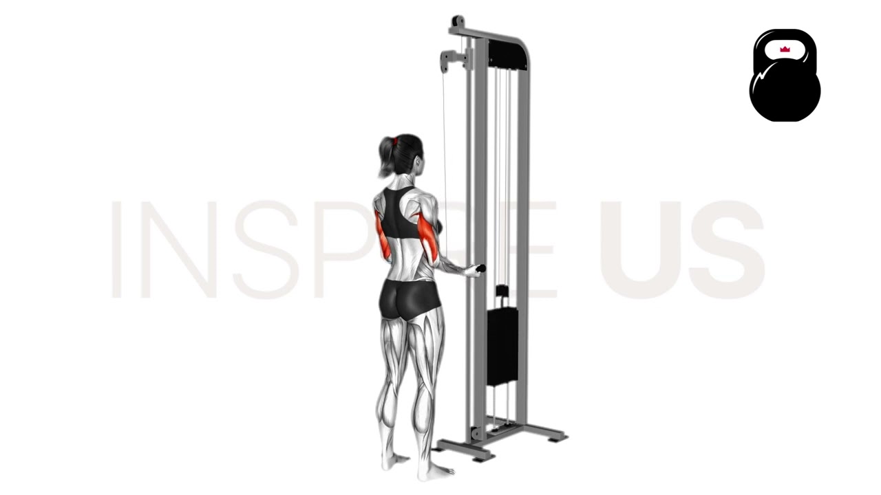 Reverse Grip Tricep Pushdowns