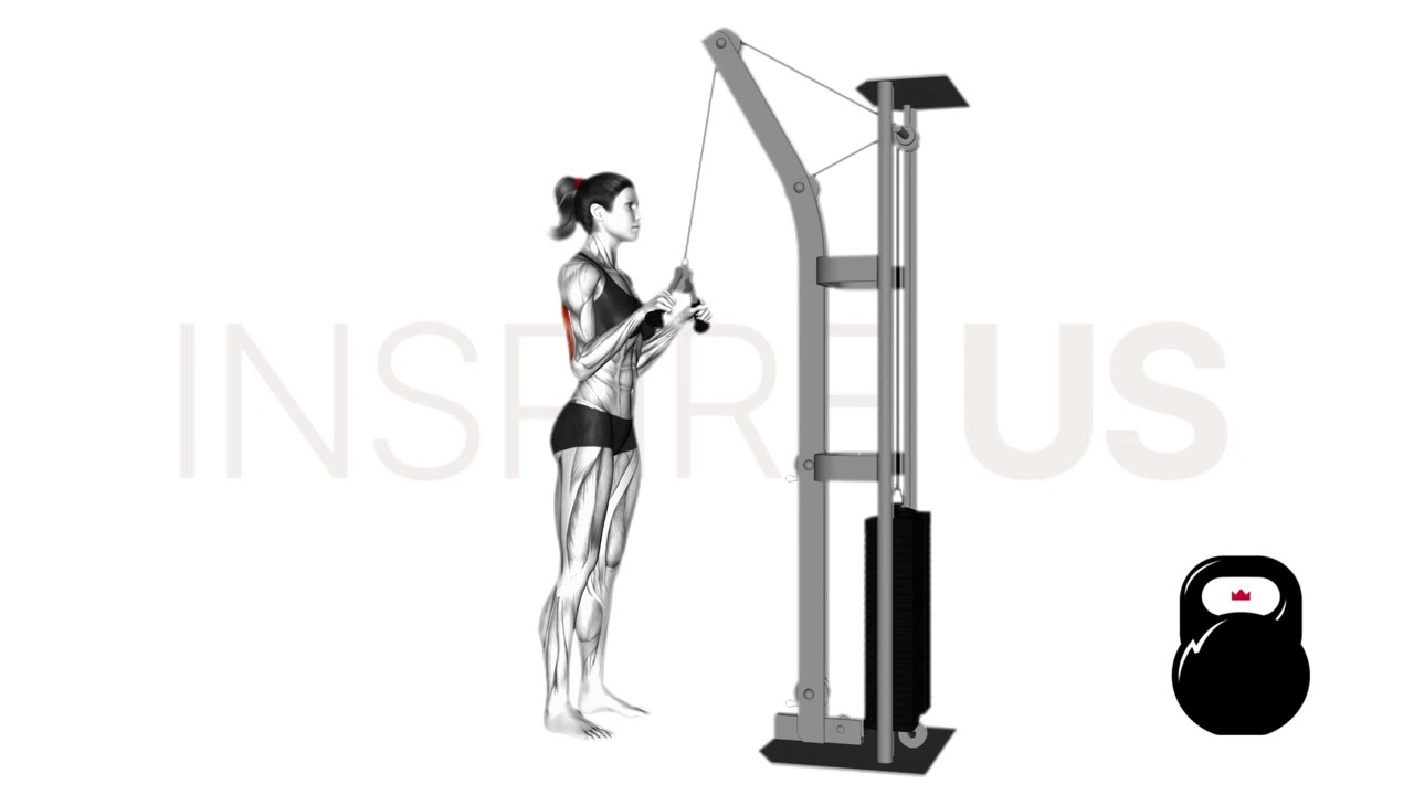 Cable Tricep Pushdown