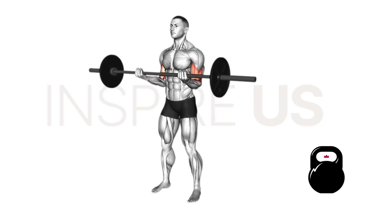 Barbell Curl