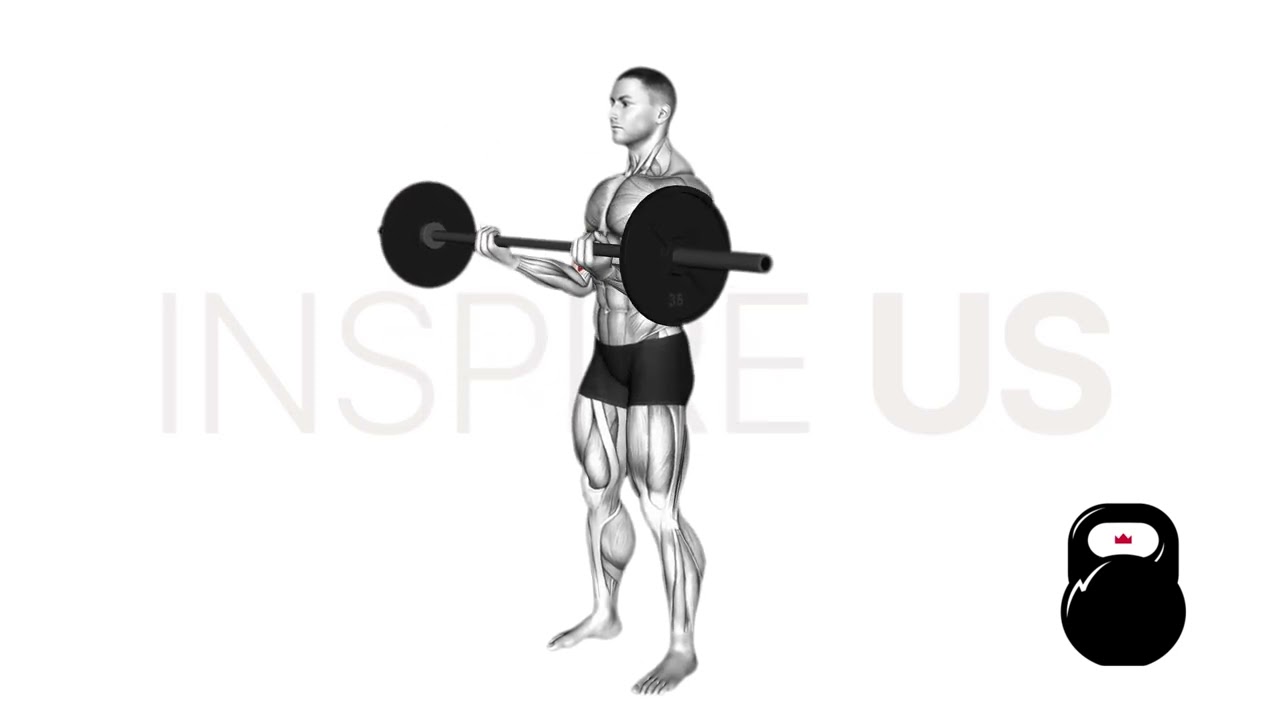 Barbell Cheat Curl