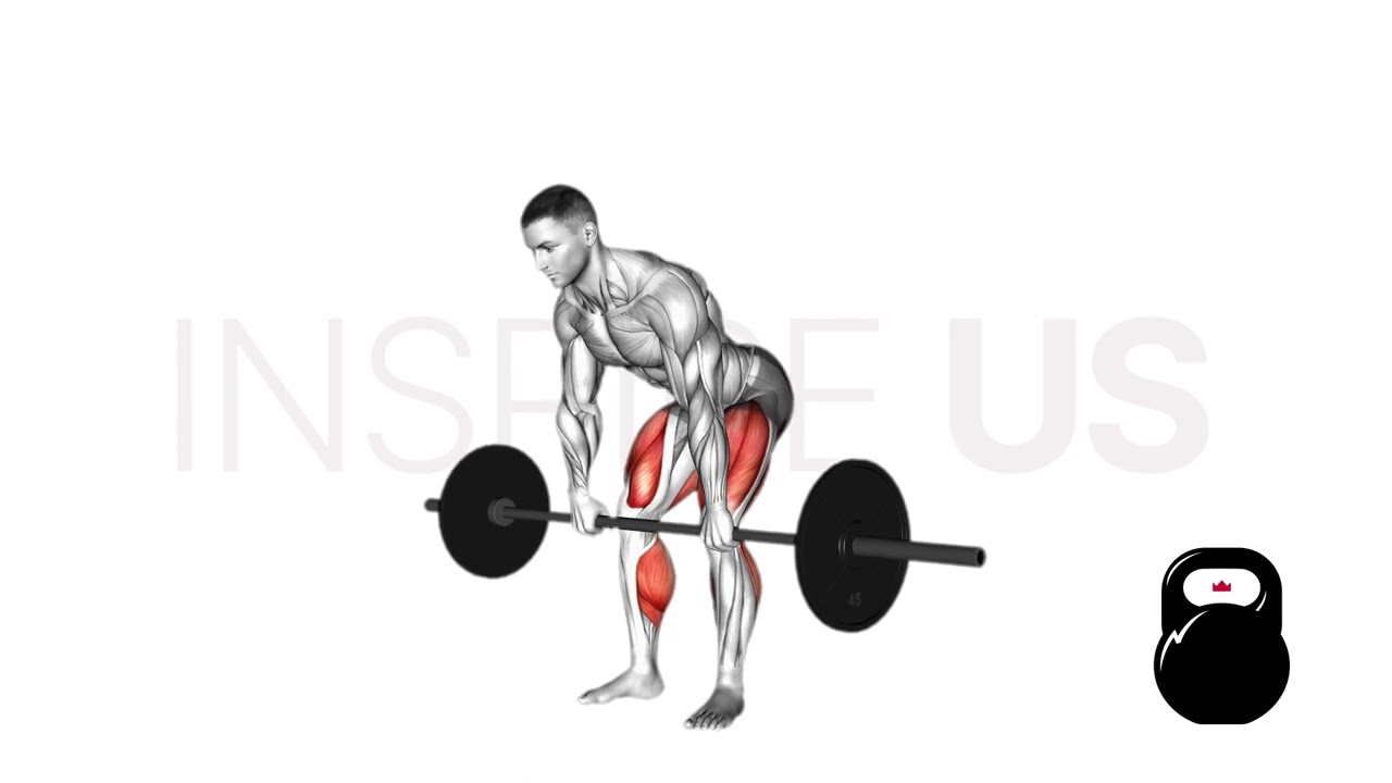 Pause Deadlifts
