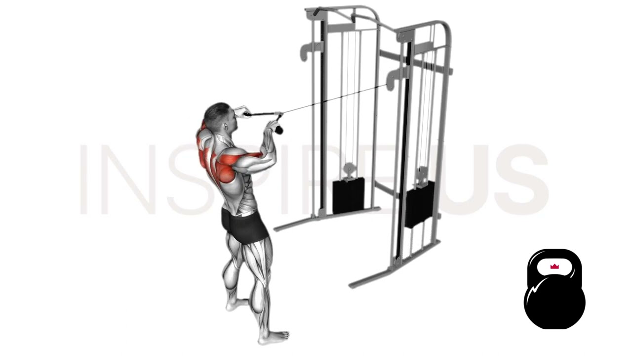Cable Face Pull